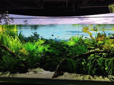 カワスイ 川崎⽔族館に投稿された画像（2024/5/3）