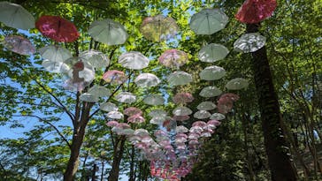 ムーミンバレーパークに投稿された画像（2024/5/3）