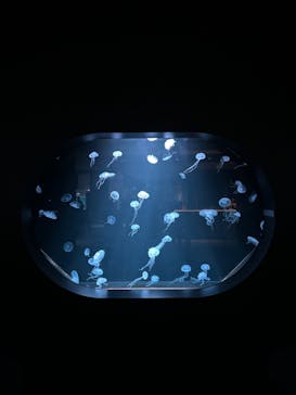 AOAO SAPPOROに投稿された画像（2024/5/3）