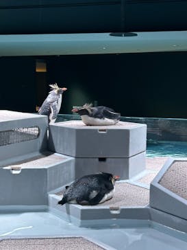 AOAO SAPPOROに投稿された画像（2024/5/3）