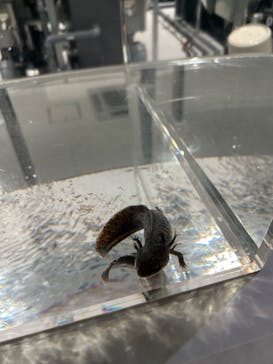 AOAO SAPPOROに投稿された画像（2024/5/3）