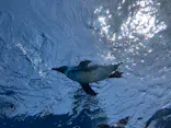 サンシャイン水族館に投稿された画像（2024/5/3）