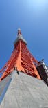 東京タワーに投稿された画像（2024/5/3）