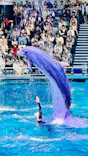 マクセル アクアパーク品川に投稿された画像（2024/5/3）