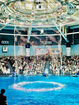 マクセル アクアパーク品川に投稿された画像（2024/5/3）