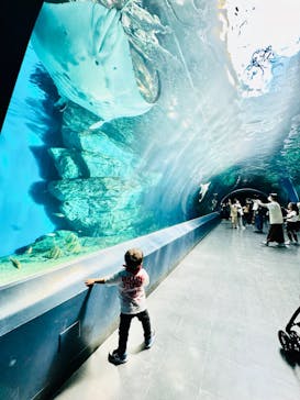 マクセル アクアパーク品川に投稿された画像（2024/5/3）