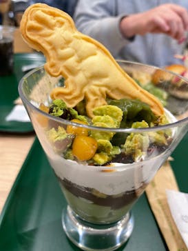 福井県立恐竜博物館に投稿された画像（2024/5/3）