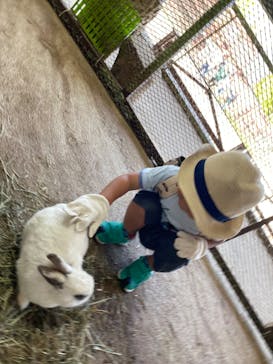 東北サファリパークに投稿された画像（2024/5/3）