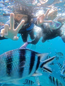 沖縄マリンサービス碧に投稿された画像（2024/5/3）