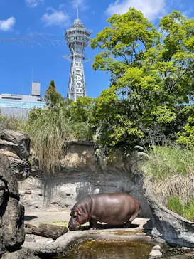 天王寺動物園に投稿された画像（2024/5/3）