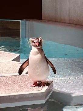 AOAO SAPPOROに投稿された画像（2024/5/3）