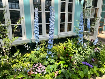 安城産業文化公園デンパークに投稿された画像（2024/5/3）