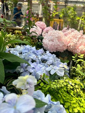 安城産業文化公園デンパークに投稿された画像（2024/5/3）