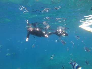 武藤潜水に投稿された画像（2024/5/3）