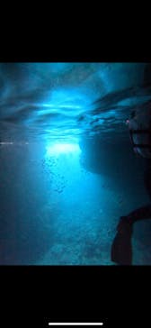 武藤潜水に投稿された画像（2024/5/3）