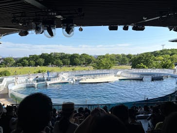京都水族館に投稿された画像（2024/5/3）