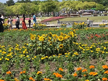 浜名湖花博2024に投稿された画像（2024/5/3）
