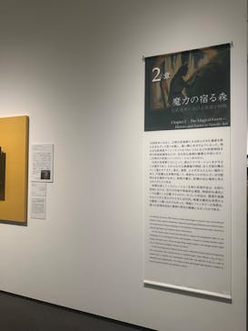 北欧の神秘（ＳＯＭＰＯ美術館）に投稿された画像（2024/5/3）