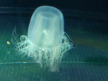 マリンワールド海の中道に投稿された画像（2024/5/3）