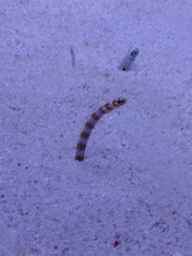 マリンワールド海の中道に投稿された画像（2024/5/3）