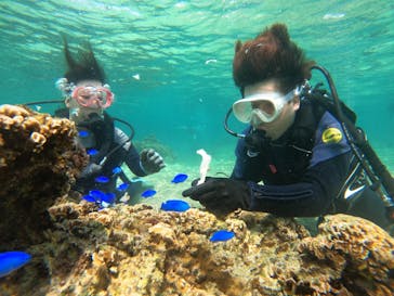 武藤潜水に投稿された画像（2024/5/3）