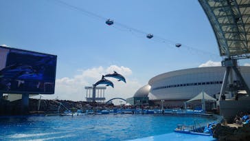 名古屋港水族館に投稿された画像（2024/5/3）