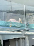 サンシャイン水族館に投稿された画像（2024/5/3）