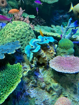 サンシャイン水族館に投稿された画像（2024/5/3）