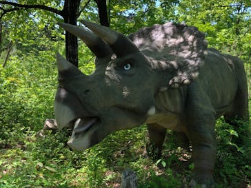 福井県立恐竜博物館に投稿された画像（2024/5/3）