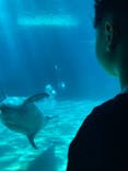 名古屋港水族館に投稿された画像（2024/5/3）