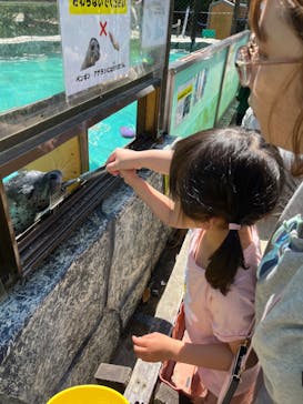 神崎農村公園ヨーデルの森に投稿された画像（2024/5/3）