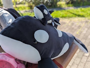 名古屋港水族館に投稿された画像（2024/5/3）