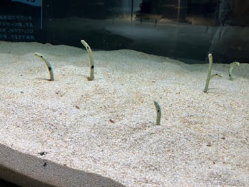 AOAO SAPPOROに投稿された画像（2024/5/3）