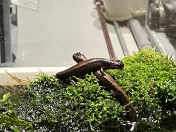 AOAO SAPPOROに投稿された画像（2024/5/3）