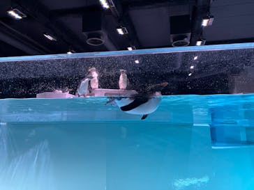 AOAO SAPPOROに投稿された画像（2024/5/3）