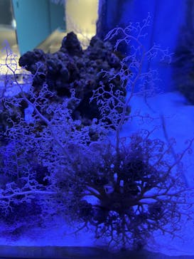 AOAO SAPPOROに投稿された画像（2024/5/3）