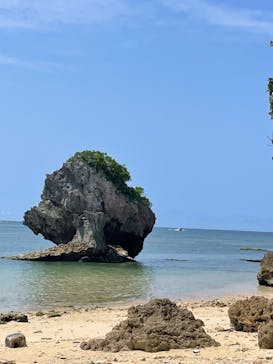 ラド観光 沖縄営業所に投稿された画像（2024/5/3）