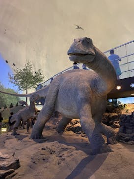 福井県立恐竜博物館に投稿された画像（2024/5/3）