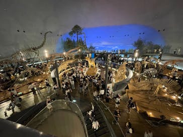 福井県立恐竜博物館に投稿された画像（2024/5/3）