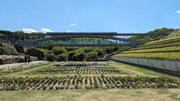 ぎふワールド・ローズガーデンに投稿された画像（2024/5/3）