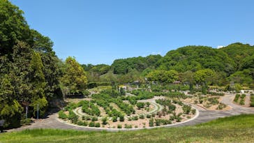 ぎふワールド・ローズガーデンに投稿された画像（2024/5/3）