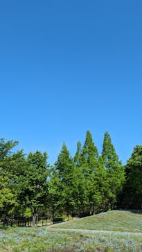 ぎふワールド・ローズガーデンに投稿された画像（2024/5/3）