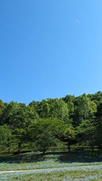 ぎふワールド・ローズガーデンに投稿された画像（2024/5/3）