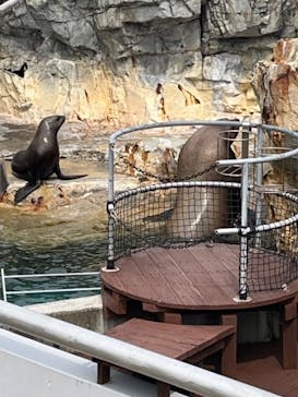 大分マリーンパレス水族館 「うみたまご」に投稿された画像（2024/5/3）