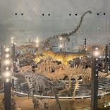 福井県立恐竜博物館に投稿された画像（2024/5/3）