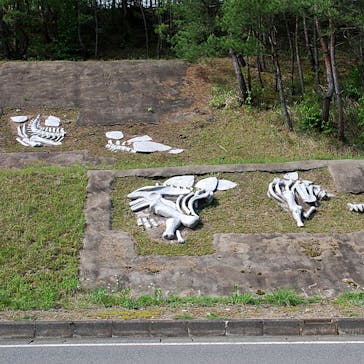 福井県立恐竜博物館に投稿された画像（2024/5/3）