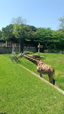 千葉市動物公園に投稿された画像（2024/5/3）