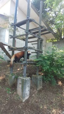 千葉市動物公園に投稿された画像（2024/5/3）