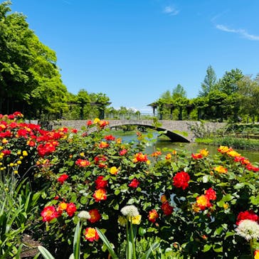 浜名湖花博2024に投稿された画像（2024/5/3）