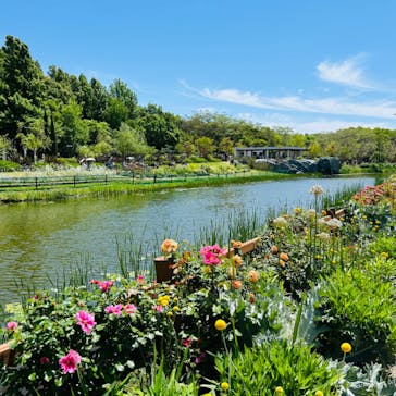 浜名湖花博2024に投稿された画像（2024/5/3）